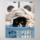 Zoek naar wasmand posters Voor iedereen