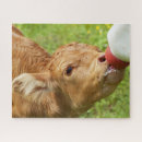 Zoek naar zuivelfabriek puzzels Boerderij