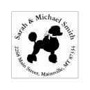 Zoek naar miniatuur poedel posters Puppy