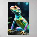 Zoek naar reptiel posters Kleurrijk