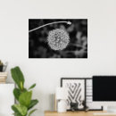 Zoek naar paardebloem kunst Dandelion