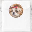 Zoek naar plakboek stickers Dier