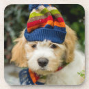 Zoek naar puppy onderzetters Puppies