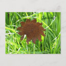 Zoek naar ijzer briefkaarten Groen