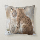 Zoek naar lynx kussens Dieren