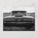 Zoek naar 1966 briefkaarten Spier