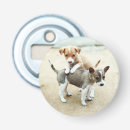 Zoek naar strand flessenopeners Foto