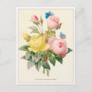 Zoek naar pierre joseph redoute briefkaarten Rozen