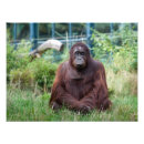 Zoek naar yoga meditatie kunst Ontspannen