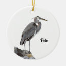 Zoek naar reiger ornamenten Dier