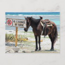 Zoek naar parkeren briefkaarten Paard