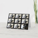 Zoek naar clean sober kaarten Alcoholici