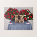 Zoek naar yorkshire terrier puzzels Gezelschapsdier