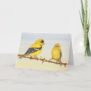 Zoek naar winterkoninkje briefkaarten Tuin