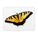 Zoek naar tiger magneten Keuken