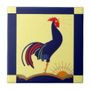 Zoek naar kraai tegels Blauw
