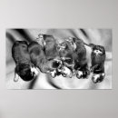 Zoek naar grappige rottweiler posters Puppy