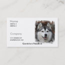 Zoek naar husky visitekaartjes Puppies