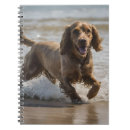 Zoek naar spaniel notitieboeken Cocker