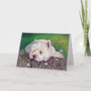 Zoek naar west highland white terrier kaarten Gezelschapsdieren