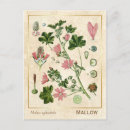 Zoek naar botanical briefkaarten Voor haar