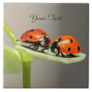 Zoek naar ladybug tegels Keramisch