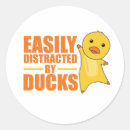 Zoek naar grappige eenden stickers Landbouwhuisdieren