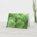 Zoek naar dianthus kaarten Bloemen