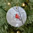 Zoek naar rode vogel ornamenten Kerstmis