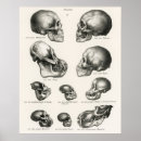 Zoek naar wetenschappelijke posters Natuurlijke historie