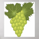 Zoek naar groene druiven posters Voedsel