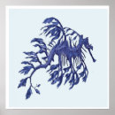 Zoek naar zee draak posters Oceaan