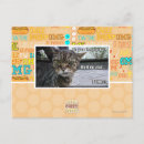 Zoek naar voel briefkaarten Ik kan cheezburger hebben