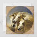 Zoek naar haringen kaarten Paarden