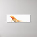 Zoek naar reptiel kunst Dieren