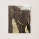Zoek naar zorg puzzels Wild