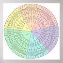 Zoek naar emoties posters Gevoelens