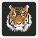 Zoek naar tijger gezicht stickers Dieren