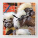 Zoek naar katoen kunst Dieren