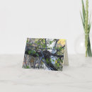 Zoek naar leeg nest briefkaarten Vogel