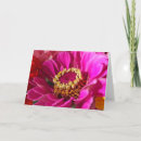 Zoek naar roze zinnia kaarten Natuur
