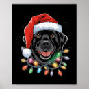 Zoek naar grappige labrador posters Verjaardag