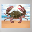 Zoek naar schaaldieren posters Ocean