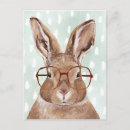 Zoek naar rabbit briefkaarten Dier