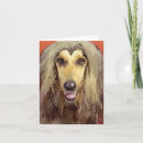 Zoek naar afghaans kaarten Afghaanse hond