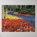 Zoek naar keukenhof tuin posters Holland