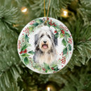 Zoek naar bearded collie ornamenten Baard