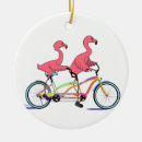 Zoek naar roze flamingo ornamenten Plezier
