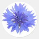 Zoek naar korenbloemen stickers Voor haar