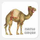 Zoek naar kameel stickers Vintage